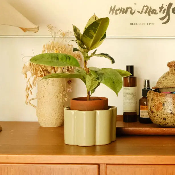 pot autonome paula vert sauge