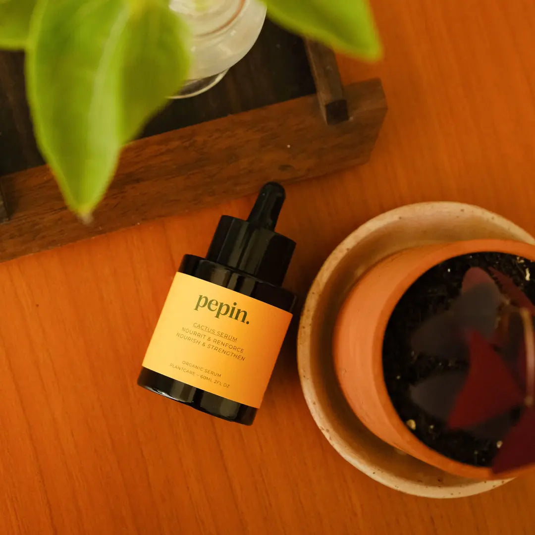 serum nourrissant pepin pour cactus placé sur le dos du produit