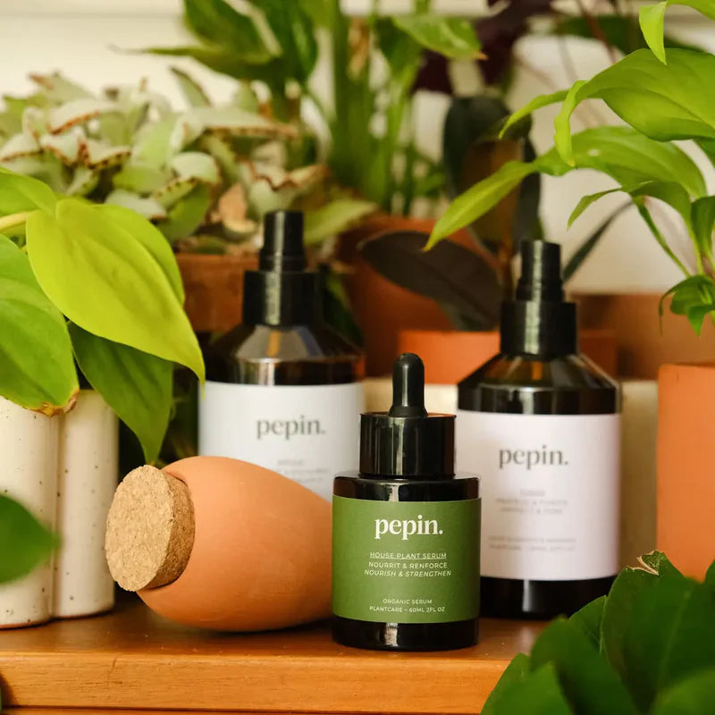 Routine Plantcare