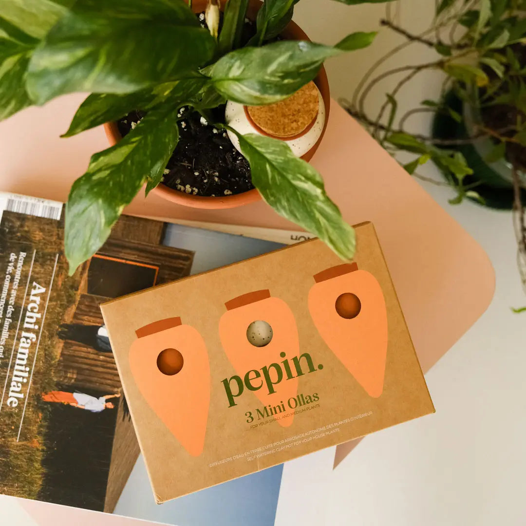 coffret des 3 mini ollas à planté