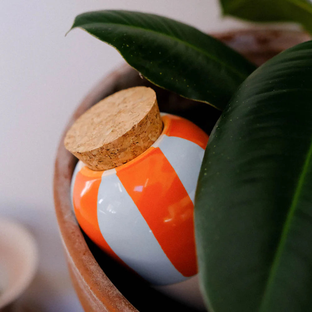 Pack découverte Olla (support bois offert)