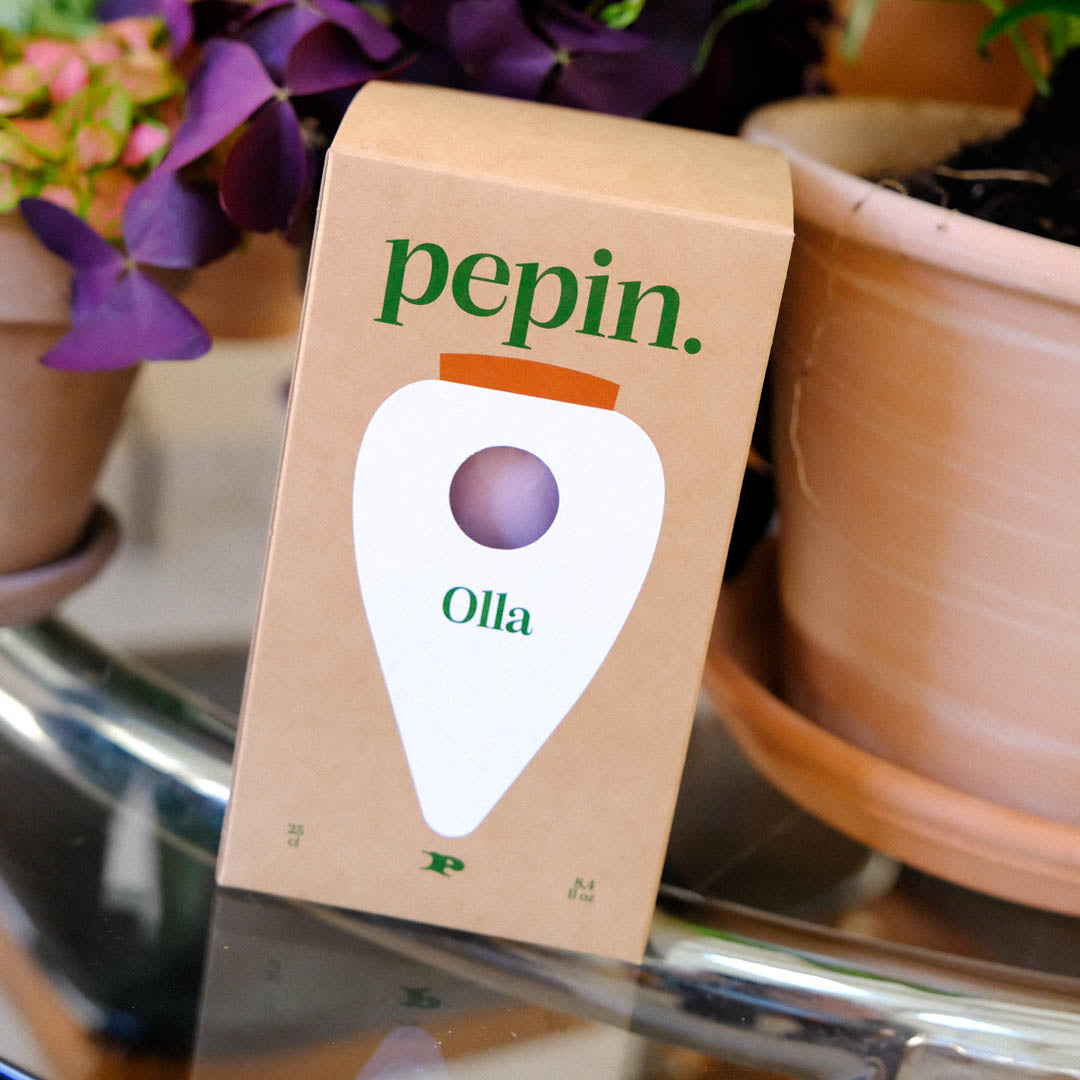 Olla - Rayé vert et lilas