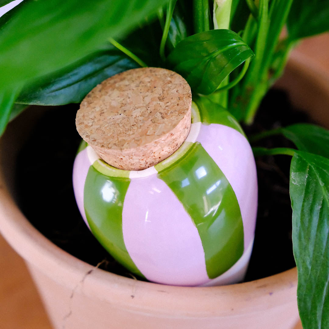 Olla - Rayé vert et lilas