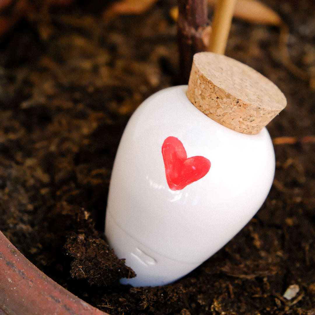 Olla - Heart