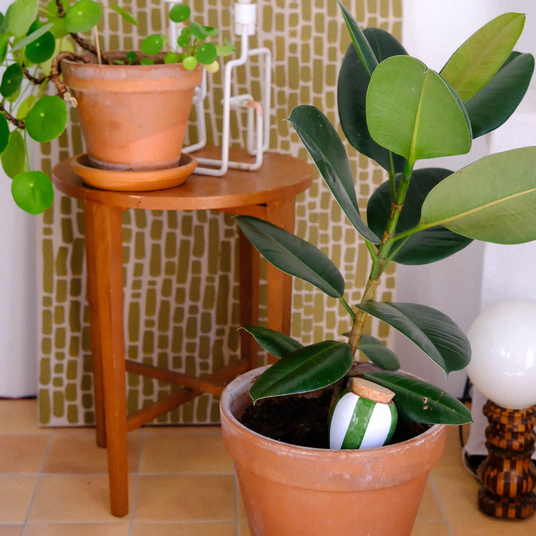 Olla - Green and white stripes