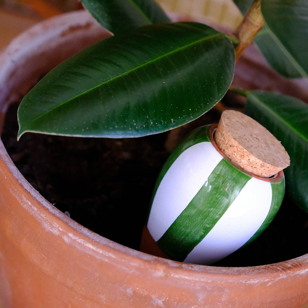 Olla - Rayé vert et blanc