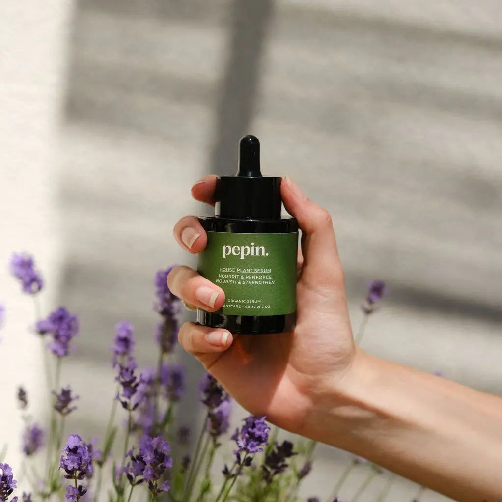 serum nourrissant pour plantes vertes pepin