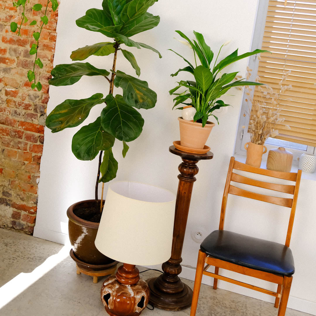 Olla - Blanc grainé