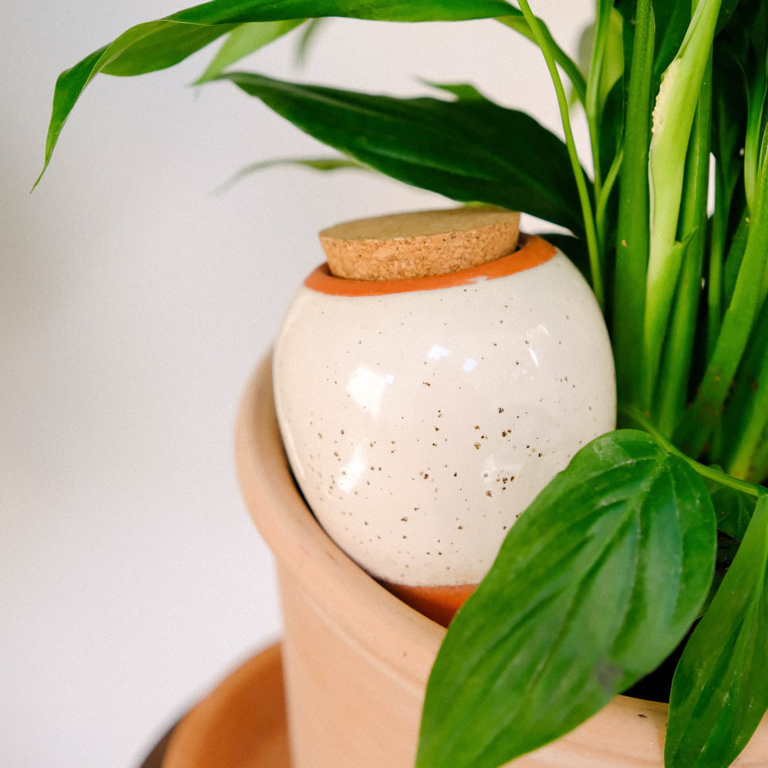 Olla - Blanc grainé