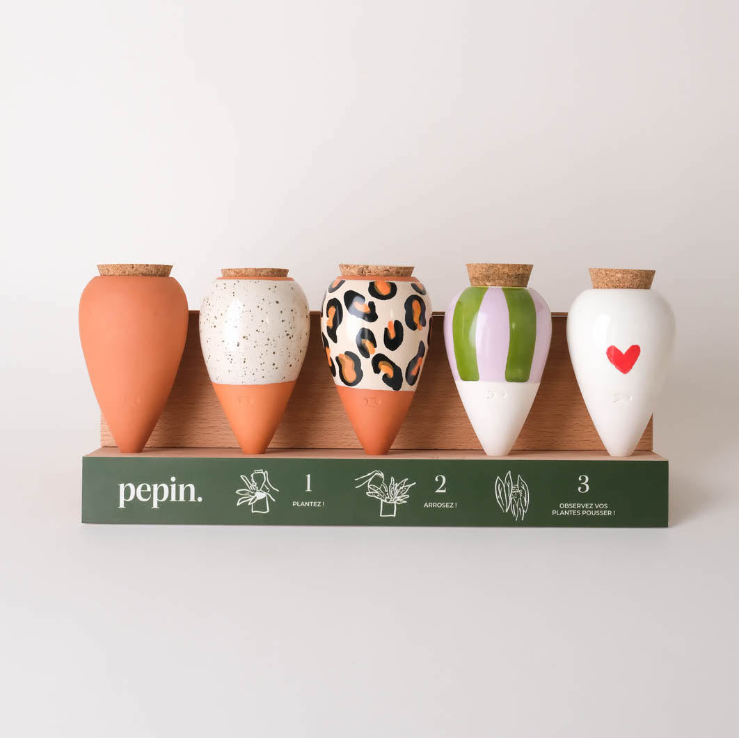 Présentoir + ILV Ollas