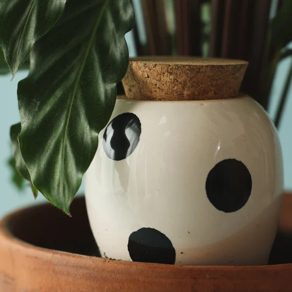 Olla - Pois noirs