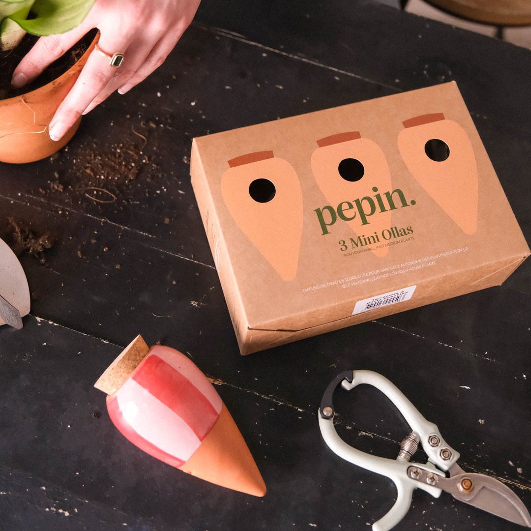 Trio Mini Olla - The Striped