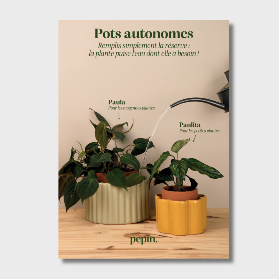 POS advertising Self-watering pots