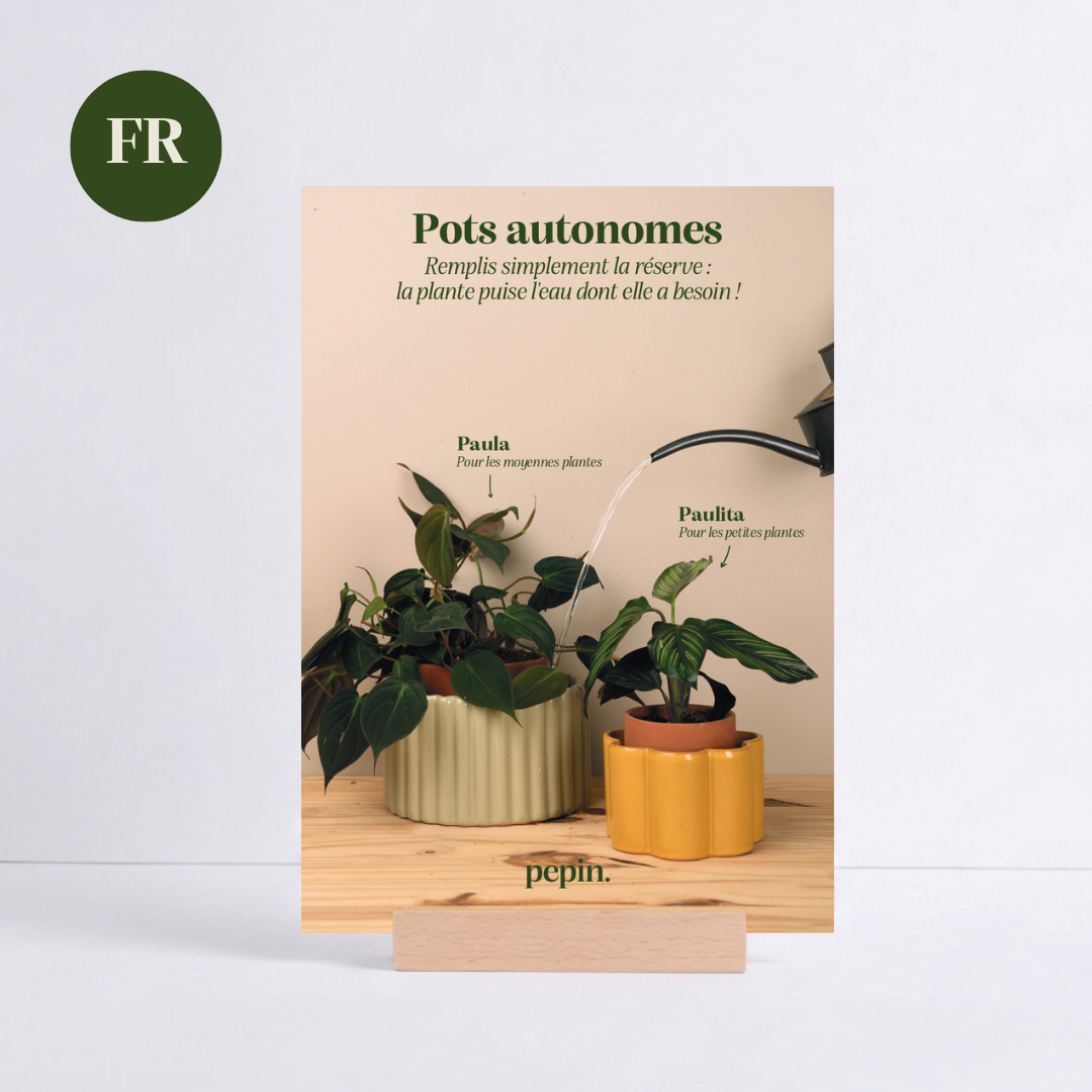 ILV Pots autonomes