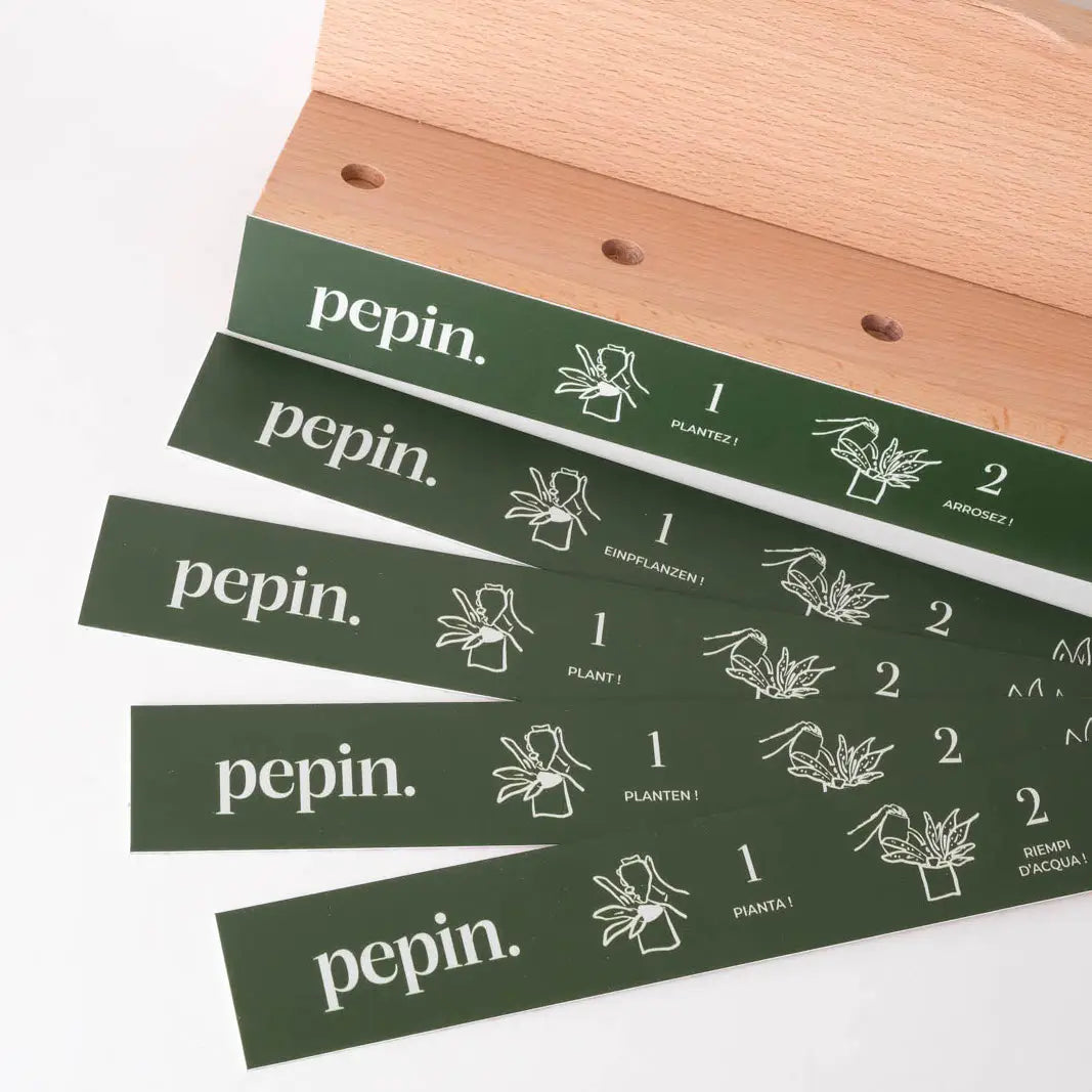 Pack découverte Olla (support bois offert)