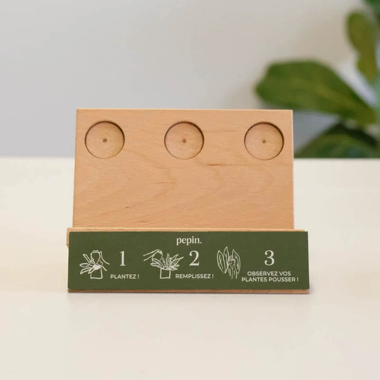 Présentoir Mini ollas