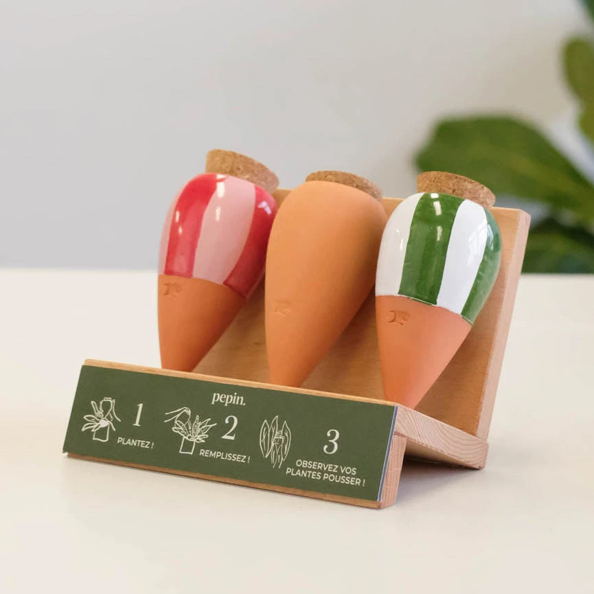 Présentoir Mini ollas