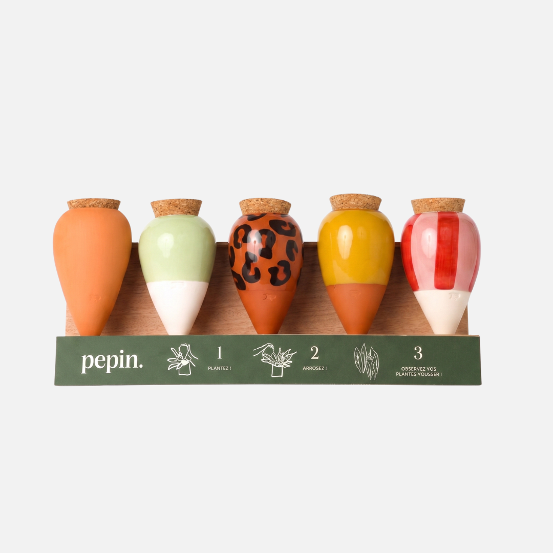Olla Discovery Pack (wooden display offered)