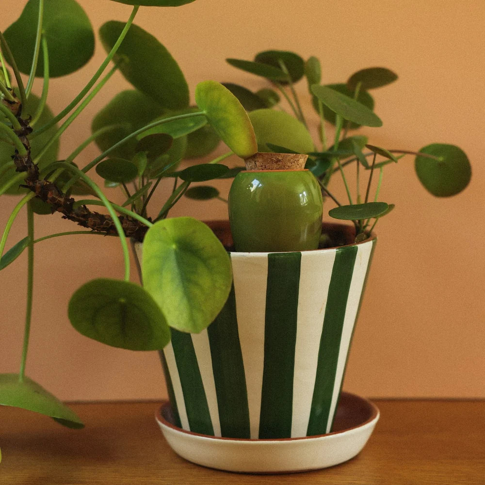 Trio Mini Olla - Limited edition by Room Service studio