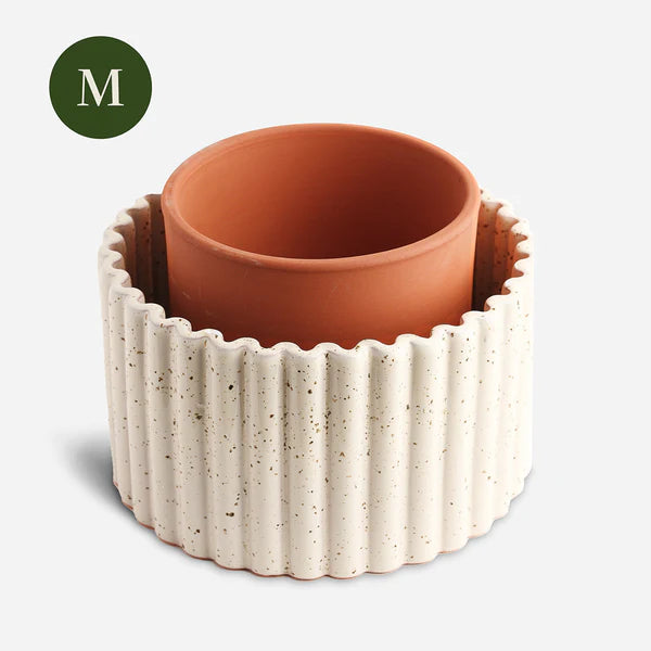 Paula (M) - Speckled white