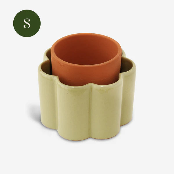 Paulita (S) - Sage green