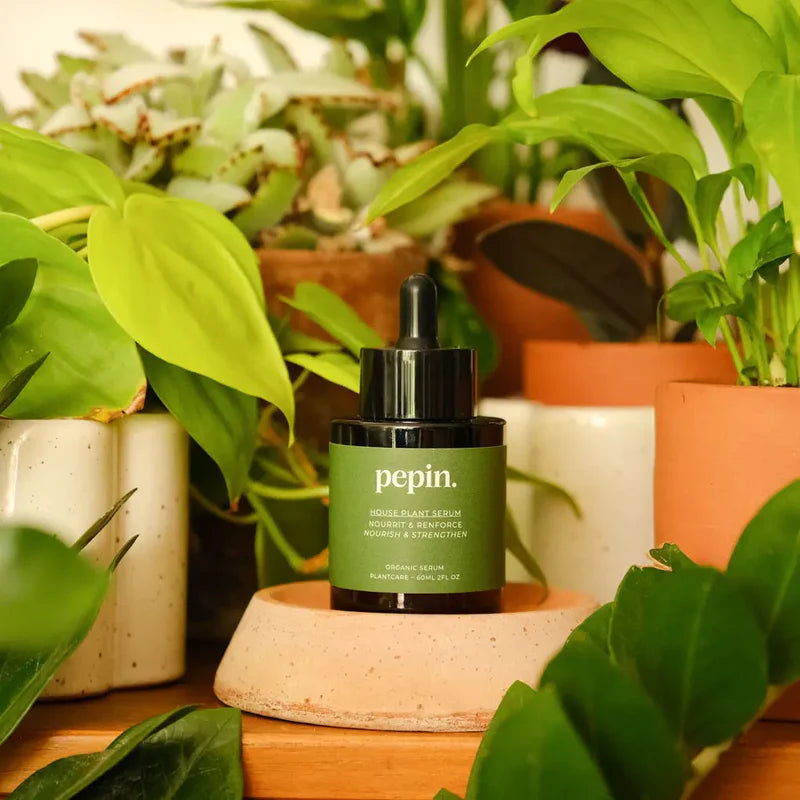 Houseplant Serum