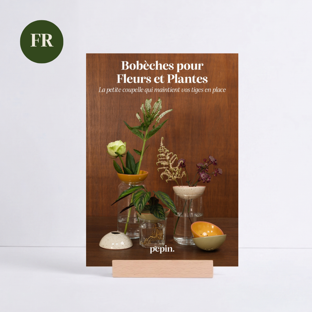 POS ad Bobèches