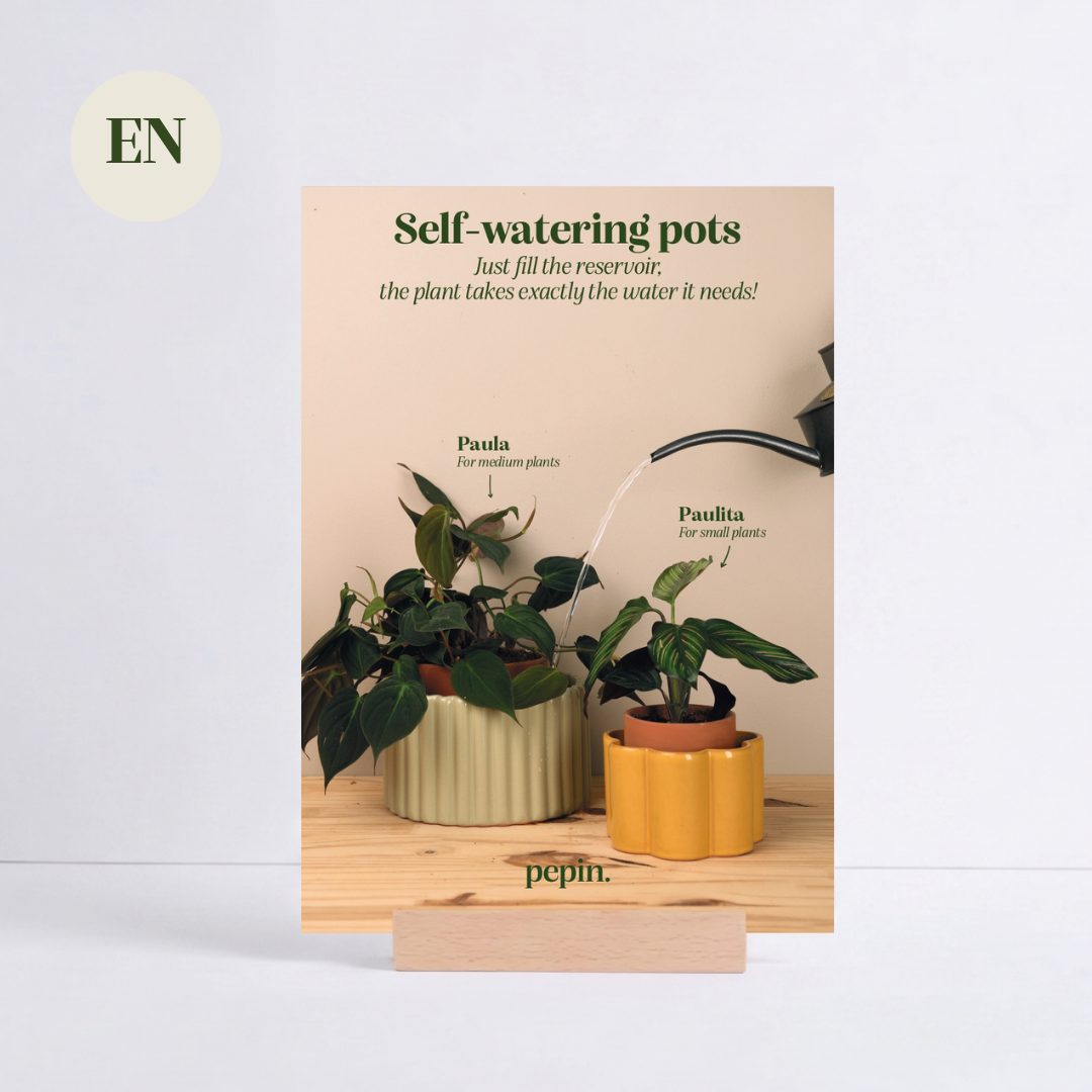 POS advertising Self-watering pots