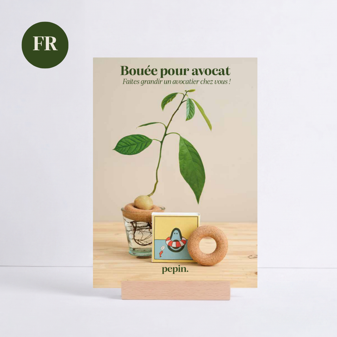 ILV Bouées pour Avocat