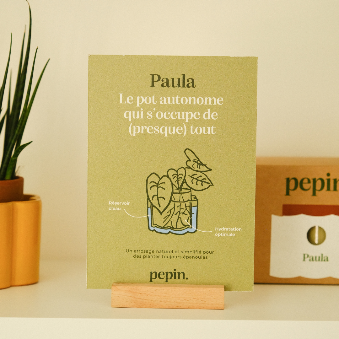 POS advertising Paula