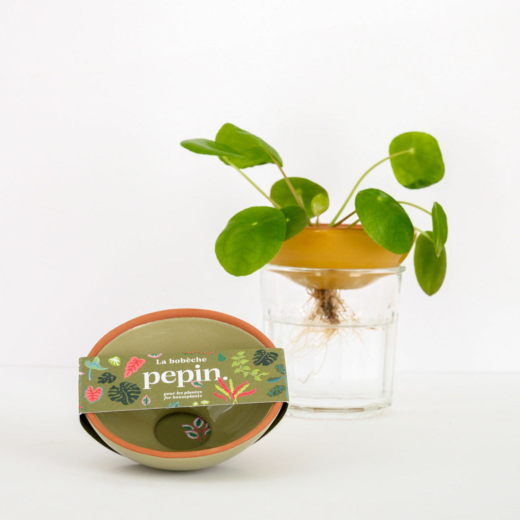 Bobèche for Plants - Sage green